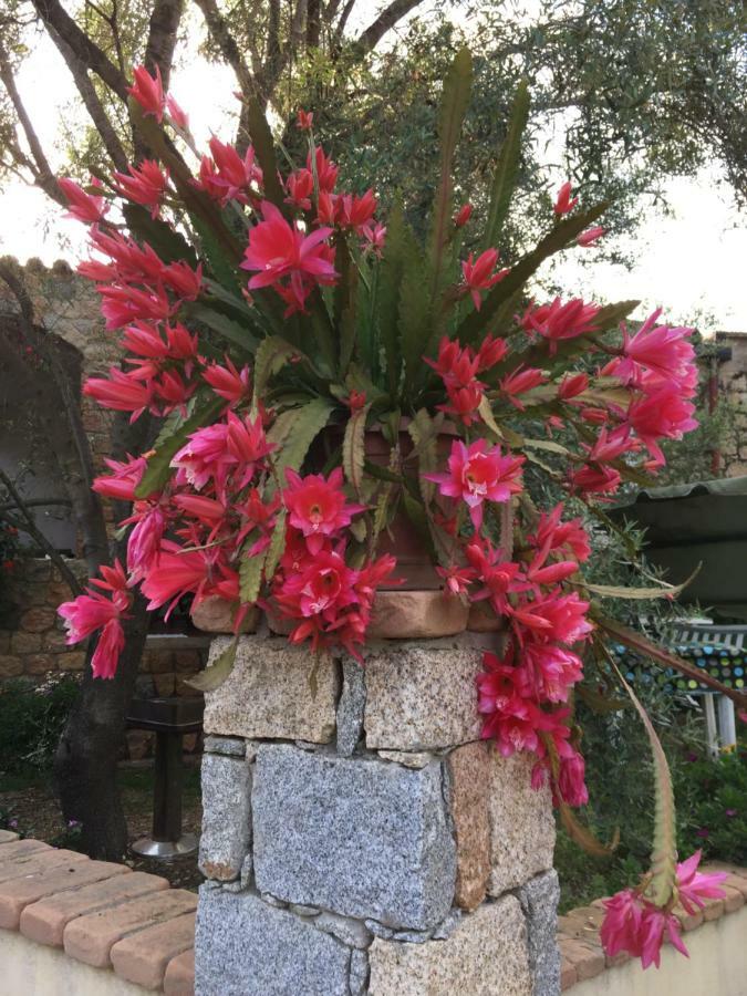 Pedras House Holidays Villa Santa Maria Navarrese Buitenkant foto